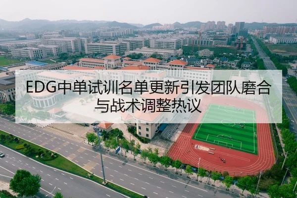 EDG中单试训名单更新引发团队磨合与战术调整热议